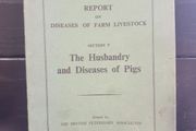 the husbandry and disease of pigs