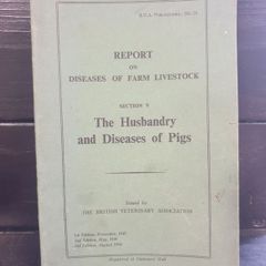 the husbandry and disease of pigs