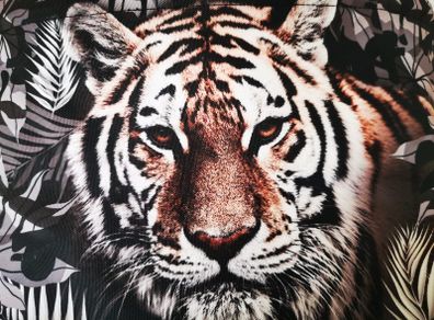 Bugaboo Bee We are a handsome Tiger Limited edition