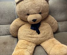 giant teddy
