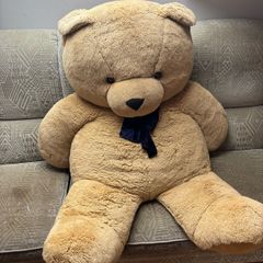 giant teddy