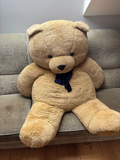 giant teddy