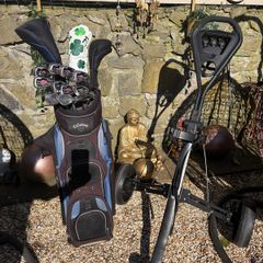 Full Set of Callaway Big Bertha Clubs