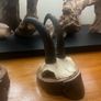 Antique Pair of Alpine Chamois Taxidermy Mounts Image 2