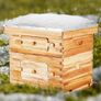 Bee Hive 20 Frame Bee Hives Starter Kit, Beeswax Coated Fir Wood, 1 Deep + 1 Medium Bee Boxes Langstroth Beehive Kit, Transparent Acrylic Windows with Foundations for Beginners Pro Beekeepers Image 6