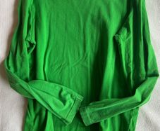 Duns Sweden more than a fling 100% organic cotton grass green long sleeve top