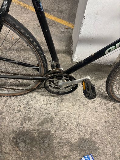 Giant bike