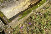 Large Trough