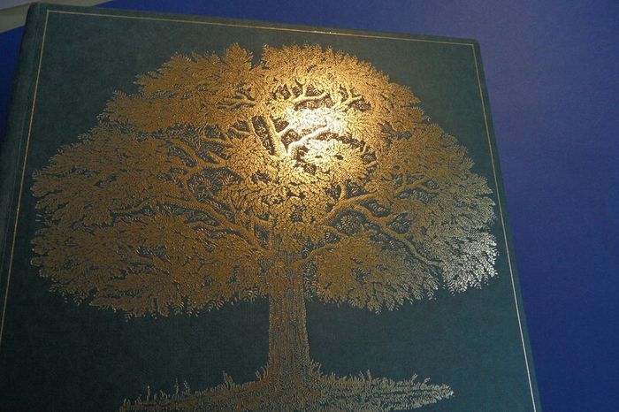 Old Hard Back Book Root And Branch Allied Irish Bank, Yesterday, Today, Tomorrow, Published In 1979  In Perfect Condition !