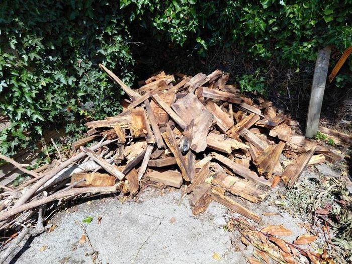 wood