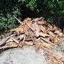 wood Image 5