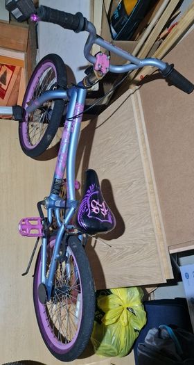 Verve Kids bike 20"