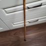 Walking stick Image 3