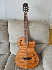 Guitar