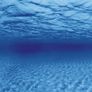 Aqua Nova Tree Roots/Water Double Sided Background 150x60cm Image 2