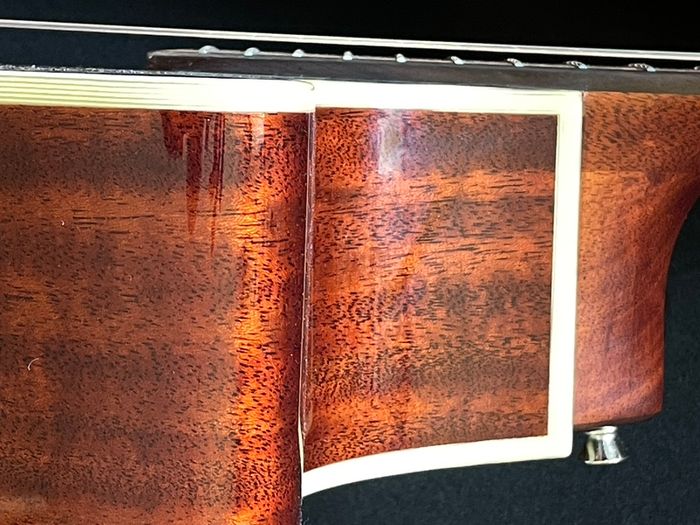 Alvarez Masterworks MG60 ce -all solid woods