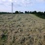 Square Hay Bale's Image 2