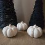 3 terracotta pumpkins - beige Image 4