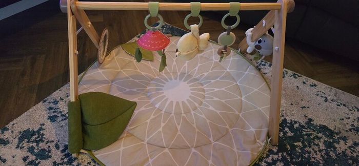 Tiny Love Luxe Developmental Play Gym with Music, Play Mat