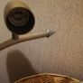 celling Image 8