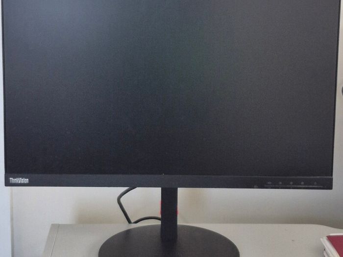 lenovo HD Monitors x 2 T24i-10
