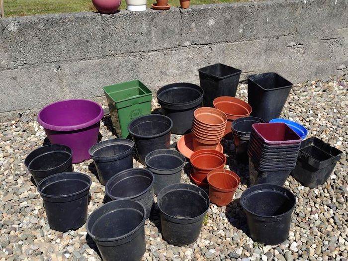 Lots Of Plant Pots (used).