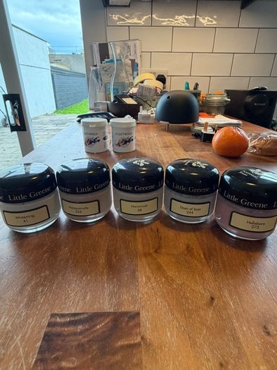 Paint testers Farrow and Ball Little Green