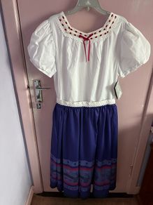 Luisa Madrigal Encanto adult costume/ dress