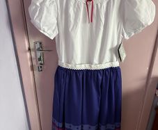 Luisa Madrigal Encanto adult costume/ dress
