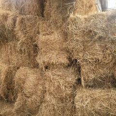 Hay bales
