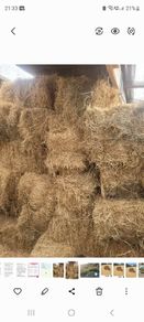 Hay bales