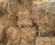 Hay bales