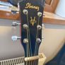 Ibanez Acoustic Guitar Image 2