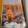 Just Dogs. A Literary And Photographic Tribut To The Great Hunting Breeds. First Edition Large Volume Hardback With Dustjacket In Good Condition.  See Photos For Same. Image 9