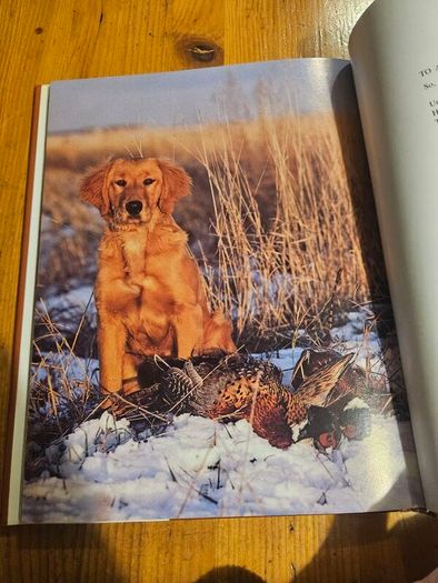 Just Dogs. A Literary And Photographic Tribut To The Great Hunting Breeds. First Edition Large Volume Hardback With Dustjacket In Good Condition.  See Photos For Same.