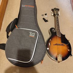 Harley Benton HBMA-100 VS Mandolin