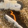 Imported 1 Of 1 Nike Flyknit Vapormax Image 4