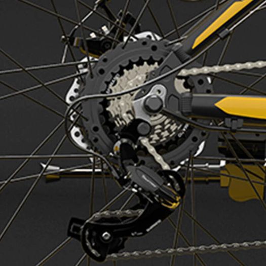 Lankeleisi Xf4000 Electric Bike