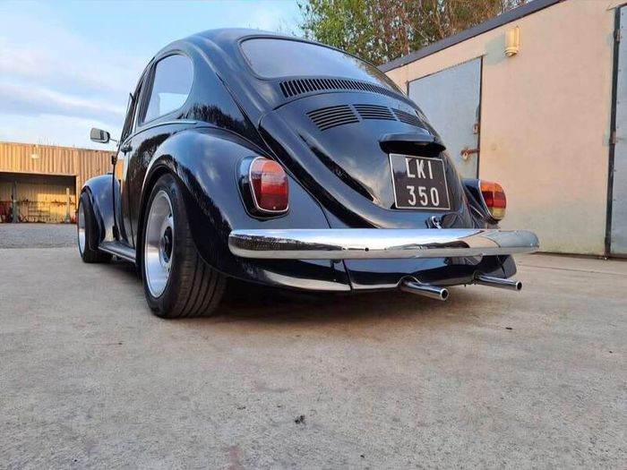 vw beetle