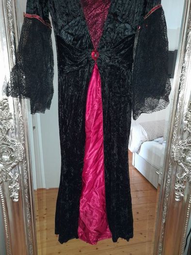 Ladies Halloween costume