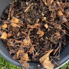 mulch