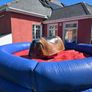 RODEO Bull ..Bucking Bronco GS Engineering Image 2