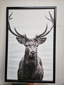Ikea Deer canvas