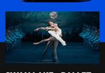 Swan Lake Ticket -  Bord Gais August 18th