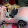 Rainbow High Car Image 3