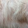 Feathers and craft set Image 10