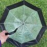 Ladies umbrella Image 3