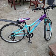 Apollo Vivid Junior Mountain Bike - 24" Wheel