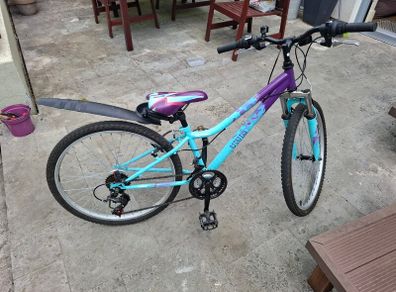 Apollo Vivid Junior Mountain Bike - 24" Wheel