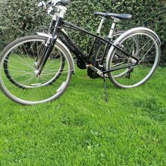 Shed clearance of 4 bikes-REDUCED